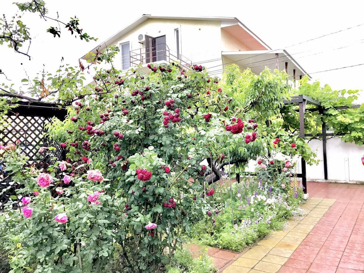 Akvitaniya Mini-Hotel Zatoka Ngoại thất bức ảnh